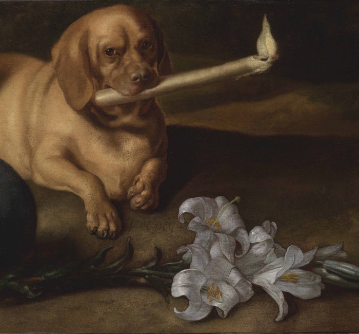 The Indianapolis Museum of Art has acquired 'The Hound of Saint Dominic' by Juan de Pareja